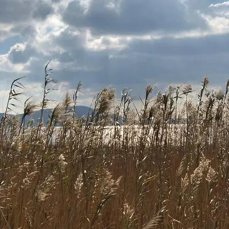 Kalamitsa Villa Skyros